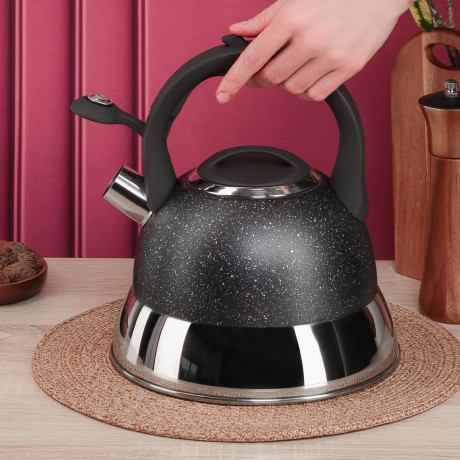 SATOSHI Чайник стальной 2,7л "Гардан", индукция