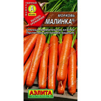 Морковь Малинка Аэлита Ц