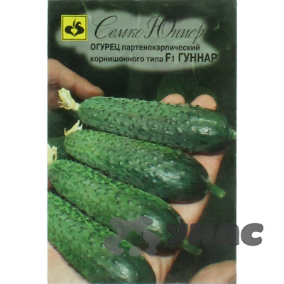 Огурец Гуннар Семко Ц