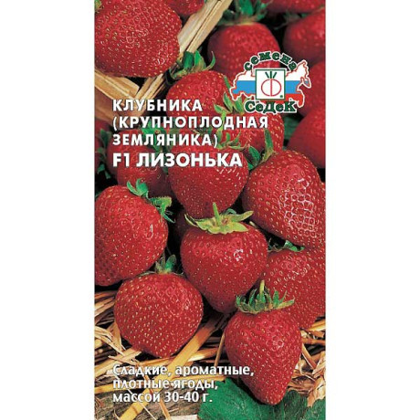 Земляника Лизонька Седек Ц