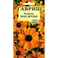 Рудбекия Мои друзья Гавриш Ц