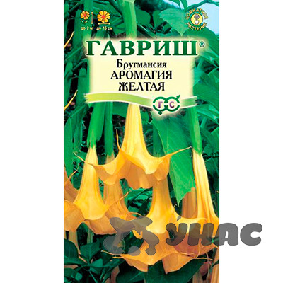КОМ Бругмансия Аромагия желтая Гавриш Ц