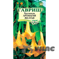 КОМ Бругмансия Аромагия желтая Гавриш Ц