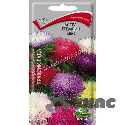 Астра гремлин Микс Поиск Ц