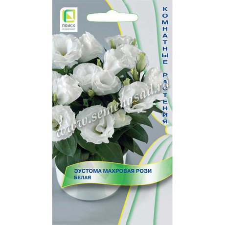 Эустома Рози Белая Поиск Ц