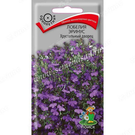 Лобелия Хрустальный дворец Поиск Ц