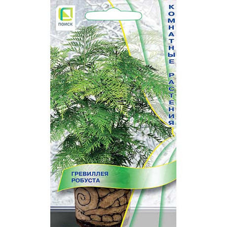 Гревиллея робуста  Поикс Ц х10