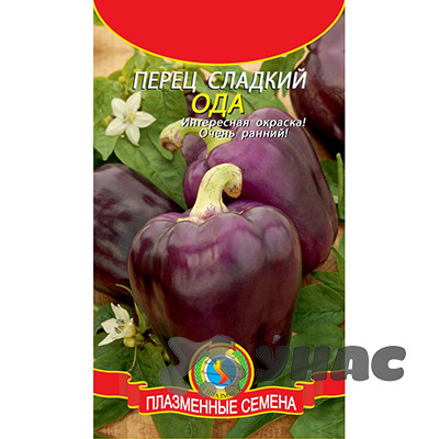 Перец Ода Плазма Ц