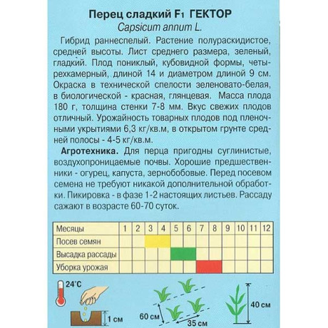 Перец Гектор Наш сад Ц