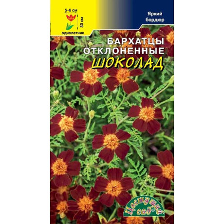 Семена Бархатцы Шоколад Цвет Сад Цх10