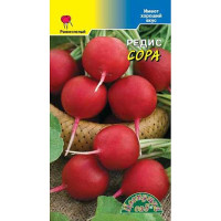 Редис Сора голландия ЦветСад Ц