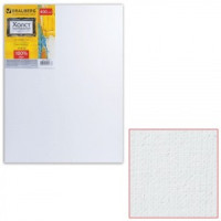 Холст грунт. на подрамнике BRAUBERG 30х40 см, 100% лен, среднее зерно, 190639