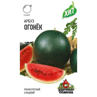 Арбуз Огонек (метал) Гавриш Ц