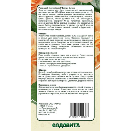 Роза шраб Чарльз Остин (английский) Садовита
