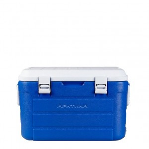 Изотермический контейнер Арктика 30л, 2000-30 (синий)