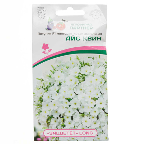 Петуния Айс Квин Зацветет Партнер Ц
