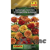 Бархатцы Строберри блонд отклон Аэлита Ц
