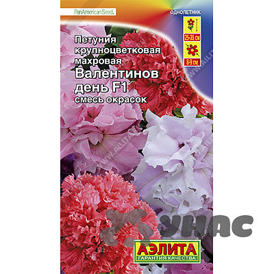 Петуния Валентинов день Аэлита Ц