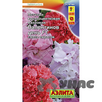 Петуния Валентинов день Аэлита Ц