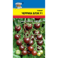 Семена Томат Черрика Блэк Урожай у дачи