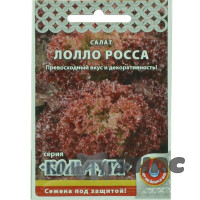 Салат Лолло-Росса &quot;Кольчуга&quot; НК