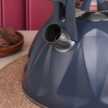 SATOSHI Чайник стальной 2,7л "Ривьера", индукция