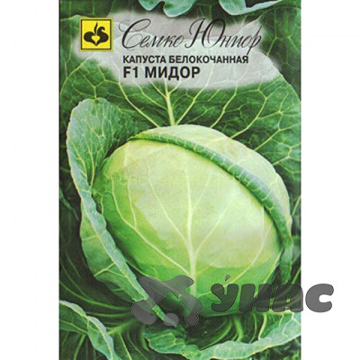 Капуста Мидор Семко Ц