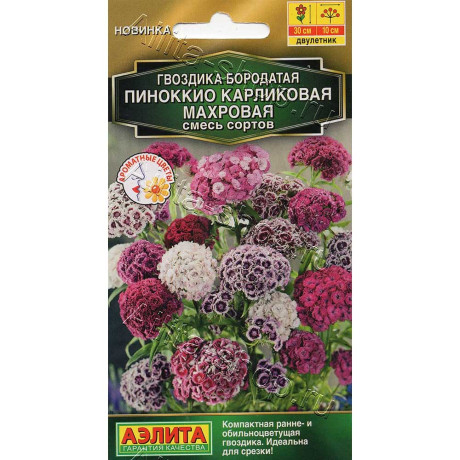 Семена Гвоздика Пиноккио карликовая махровая Аэлита Ц