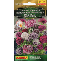 Семена Гвоздика Пиноккио карликовая махровая Аэлита Ц