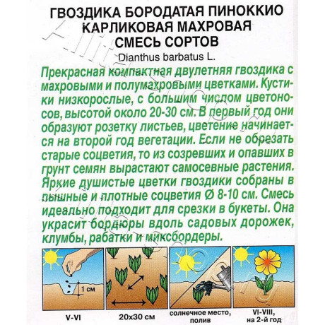 Семена Гвоздика Пиноккио карликовая махровая Аэлита Ц