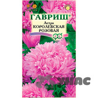 Астра Королевская розовая Гавриш Ц