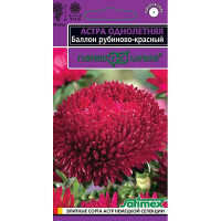 Астра Баллон рубиново-красный Гавриш Цх10