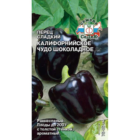 Перец Калифорнийское чудо шоколадное Седек Ц
