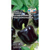Перец Калифорнийское чудо шоколадное Седек Ц
