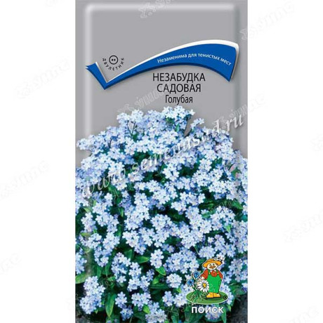 Незабудка Голубая Поиск Ц