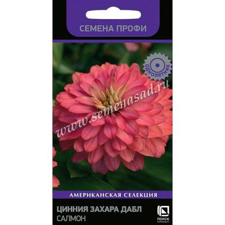Циния Захара Дабл Салмон Поиск Ц