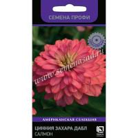 Циния Захара Дабл Салмон Поиск Ц