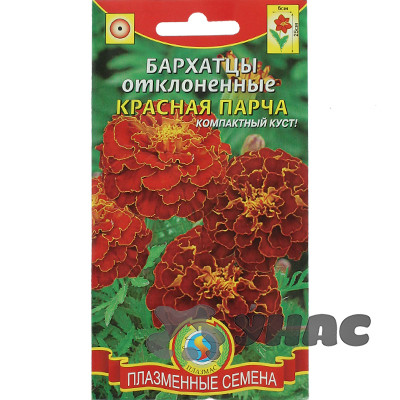 Бархатцы Красная парча Плазма Ц