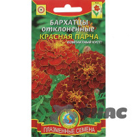 Бархатцы Красная парча Плазма Ц
