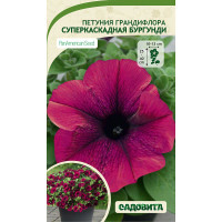 Петуния Суперкаскадная F1 Бургунди грандифлора 10др PanAmerican/Садовита Ц