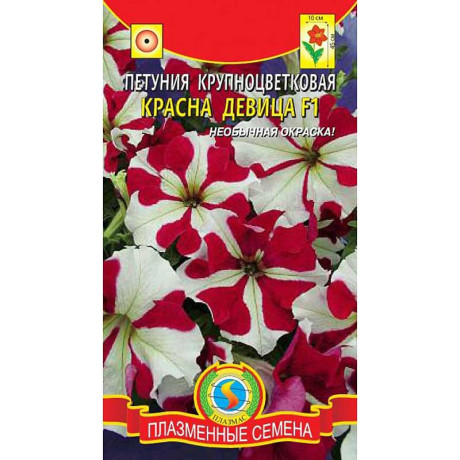 Петуния Красна девица  Плазма Ц