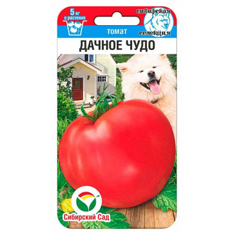 Томат Дачное чудо СибСад