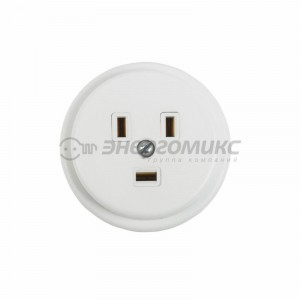 REXANT розетка шепс для электроплиты (РШ) 40А 250В СУ 2P+PE, негор. пластик БЕЛАЯ IP20 11-8520