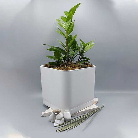 Горшок 2,1 л белый 104/15-1 х12