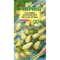 Земляника Белая душа Гавриш Ц