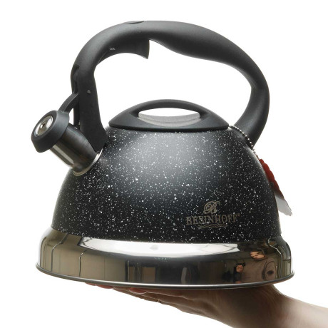 Чайник 3,2 л нержавеющая сталь с покрытием NA2574 (12)