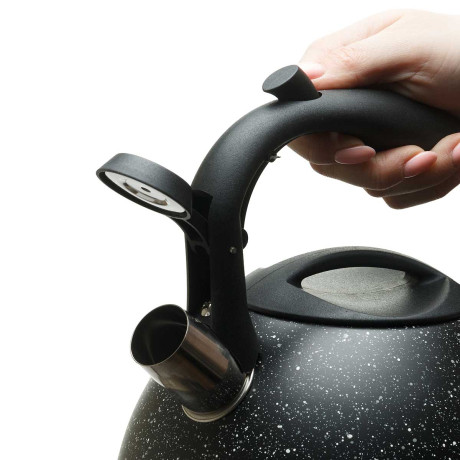 Чайник 3,2 л нержавеющая сталь с покрытием NA2574 (12)