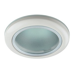 ЭРА WR1 WH св-к встр. влагозащищенный 50W 12V/220V MR16 GU5.3 белый, IP44