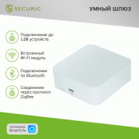 SECURIC умный шлюз Wi-Fi/Zigbee/Bluetooth SEC-GT-101