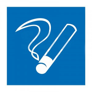 Табличка ПВХ информационный знак "Место курения" 200х200мм REXANT (10!) 56-0033-2
